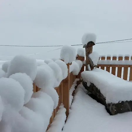 아파트 Haus Sabrina *