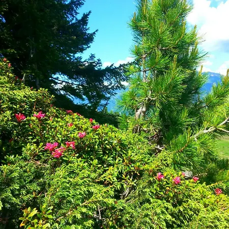 Haus Sabrina 아파트 칼텐바흐