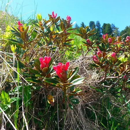 Haus Sabrina 아파트