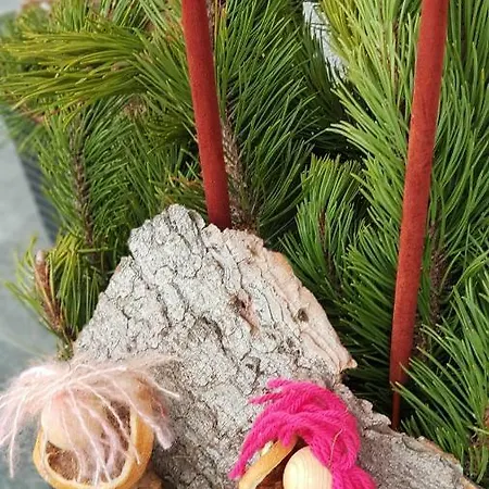 아파트 Haus Sabrina *