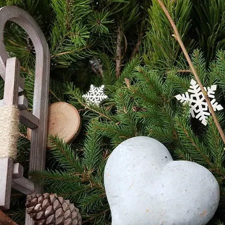 Haus Sabrina 아파트 *